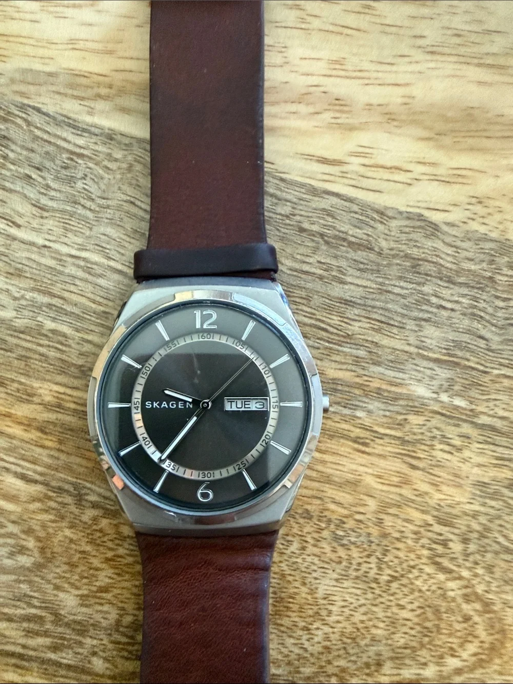 Skagen Men's Brown Leather Strap Stainless Silver Case Quartz Watch